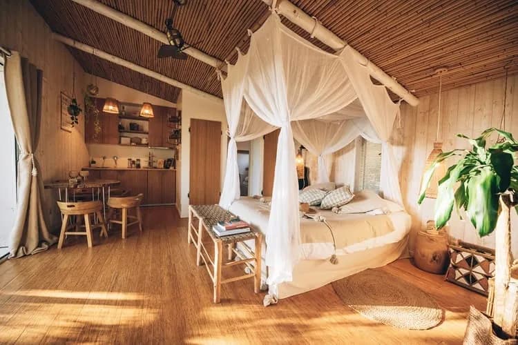 Photo Pella Roca - Tropicabana n°4