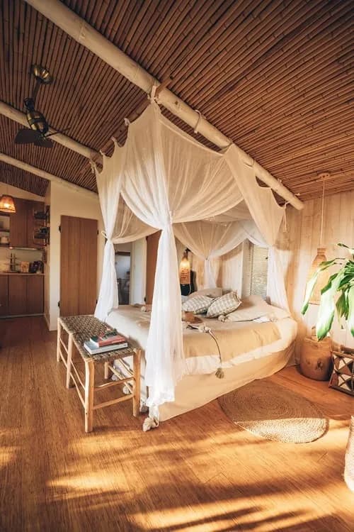 Photo Pella Roca - Tropicabana n°12