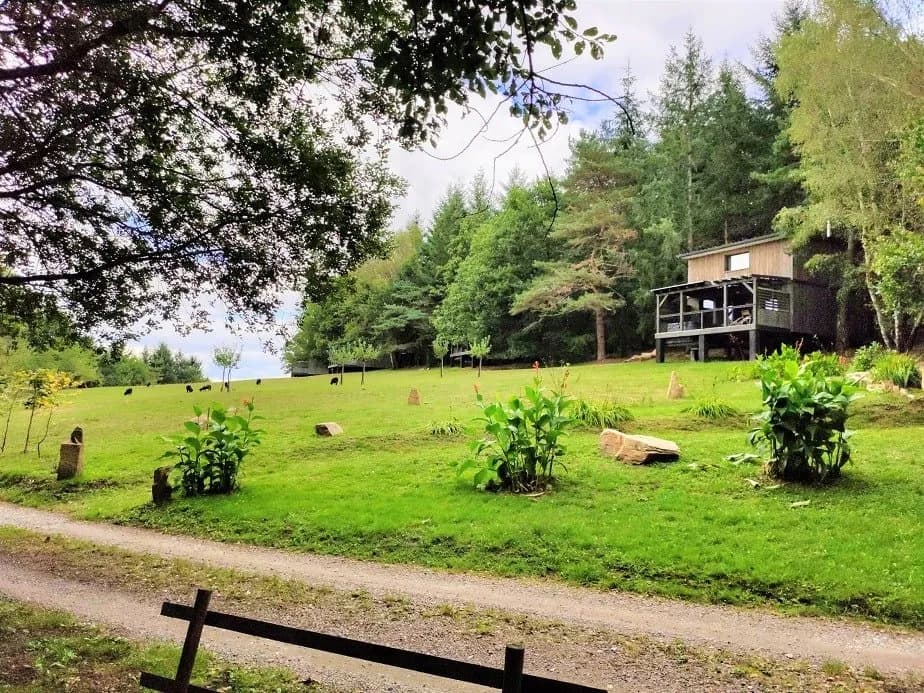 Photo SPALAZEN NATURE - Lodge IRMA n°3