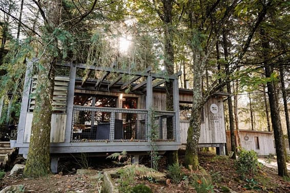 Photo SPALAZEN NATURE - Lodge IRMA n°2