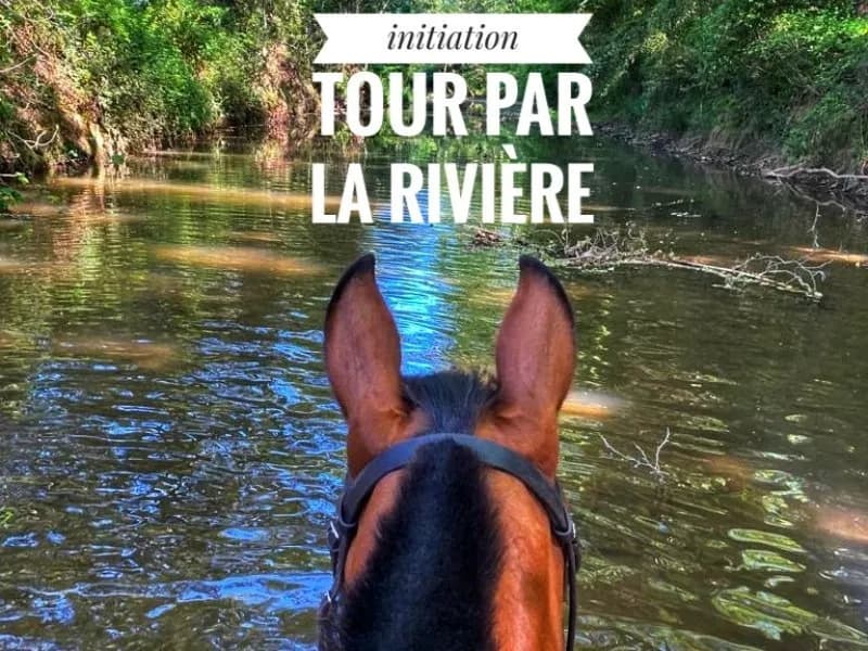 Photo L'Ecrin de Hyères n°7