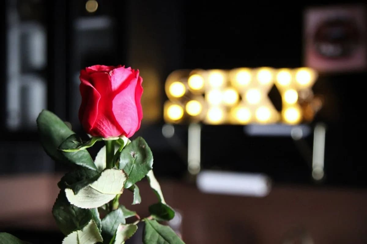Photo Enjoy Loveroom n°12