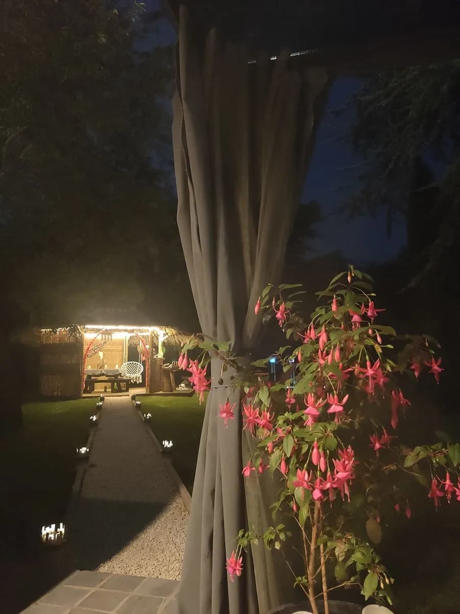 Photo Le Quart D'Heure Américain n°14