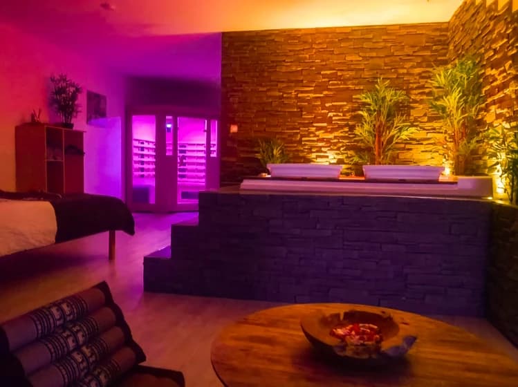 Photo Appart Spa Privatif Gray n°7