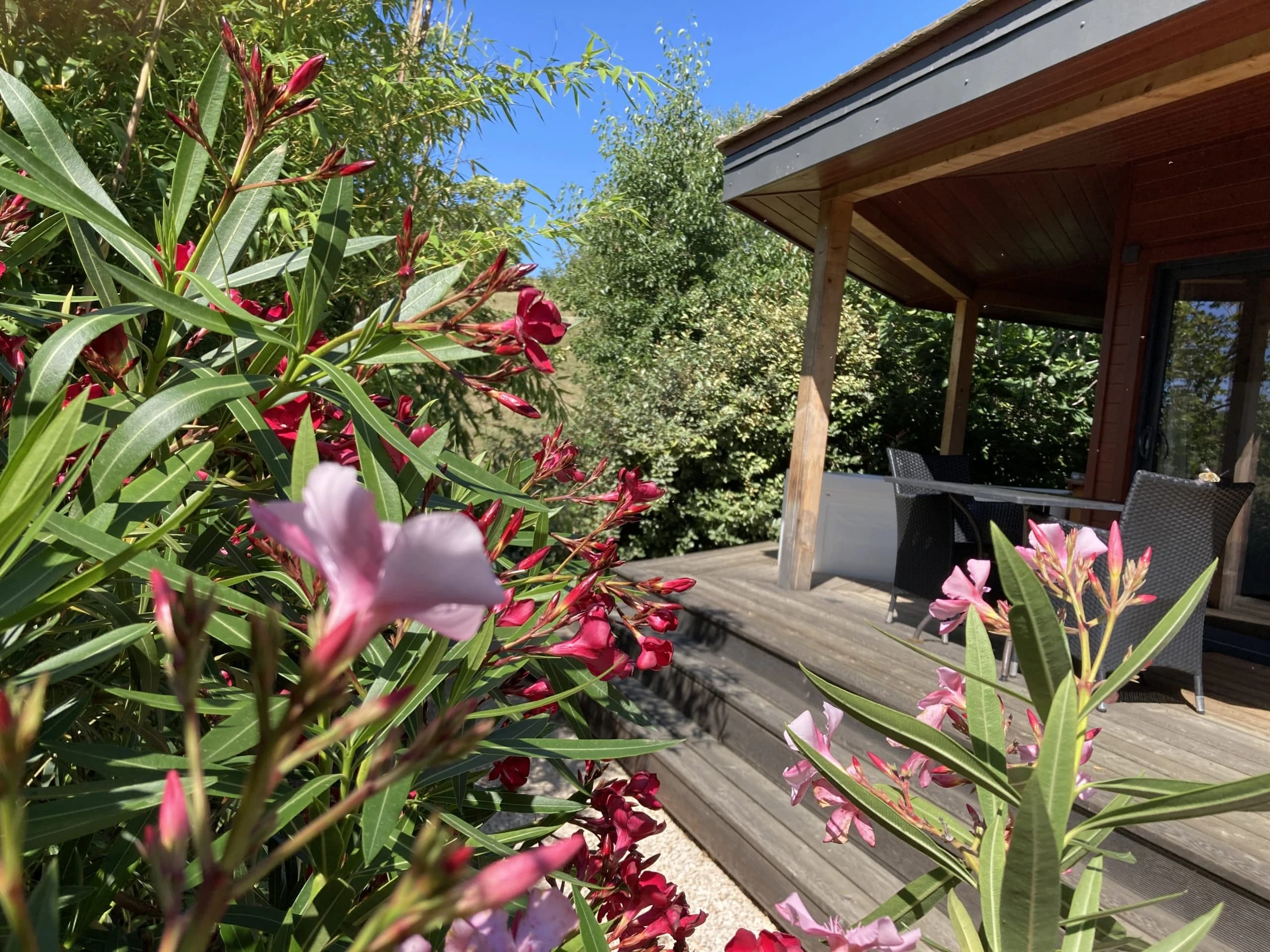 Photo La cabane bien-être du potager   n°5