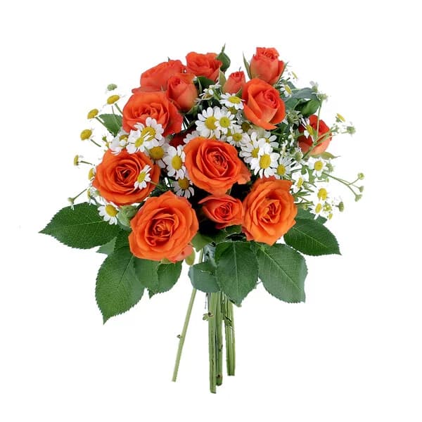 Photo produit : MELODIE DES JARDINS S