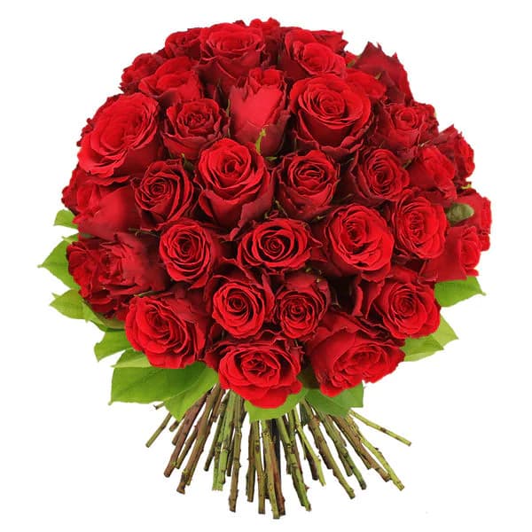 Photo produit : BOUQUET DE 50 ROSES ROUGES