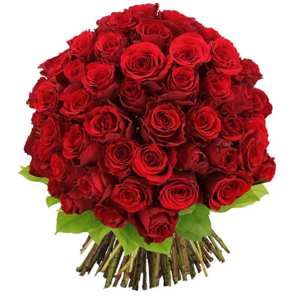 Photo produit : BOUQUET DE 100 ROSES ROUGES