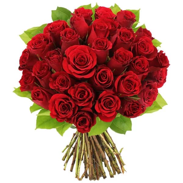 Photo produit : BOUQUET DE 30 ROSES ROUGES