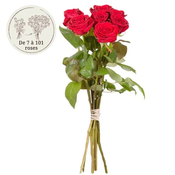 Photo produit : 7 GRANDES ROSES ROUGES