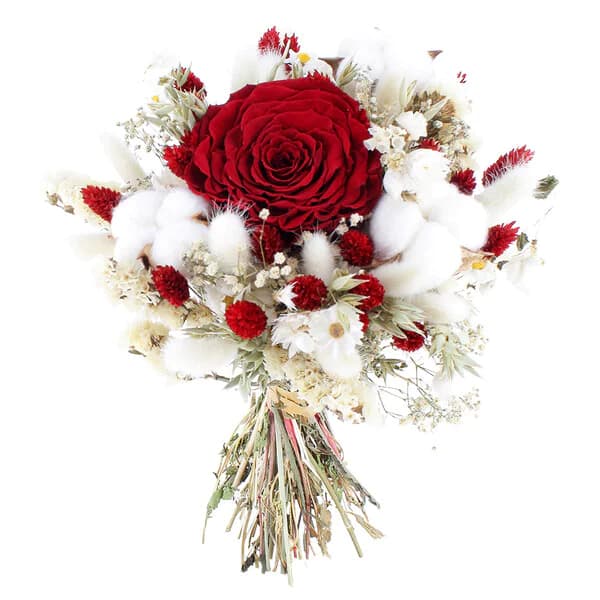 Photo produit : ETERNEL HIVER