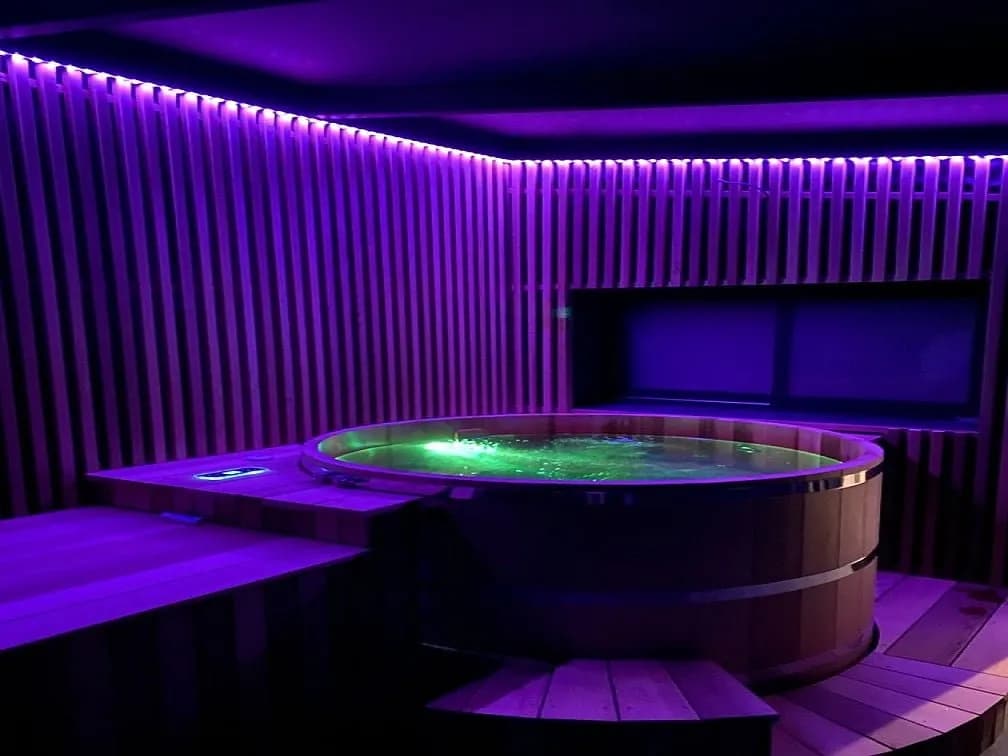 Photo Gîtes de La Gasteleine - Côté SPA Bois n°0