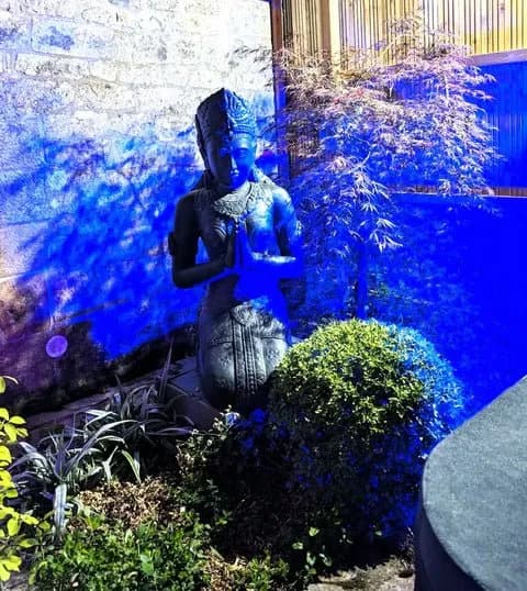 Photo Les Suites du Bouddha Bleu - La Suite Samadhi n°2
