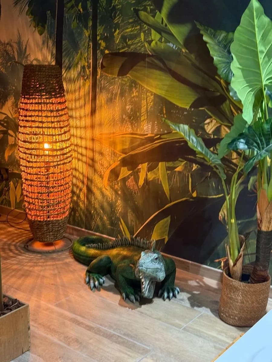Photo Le Lodge de la Jungle n°2