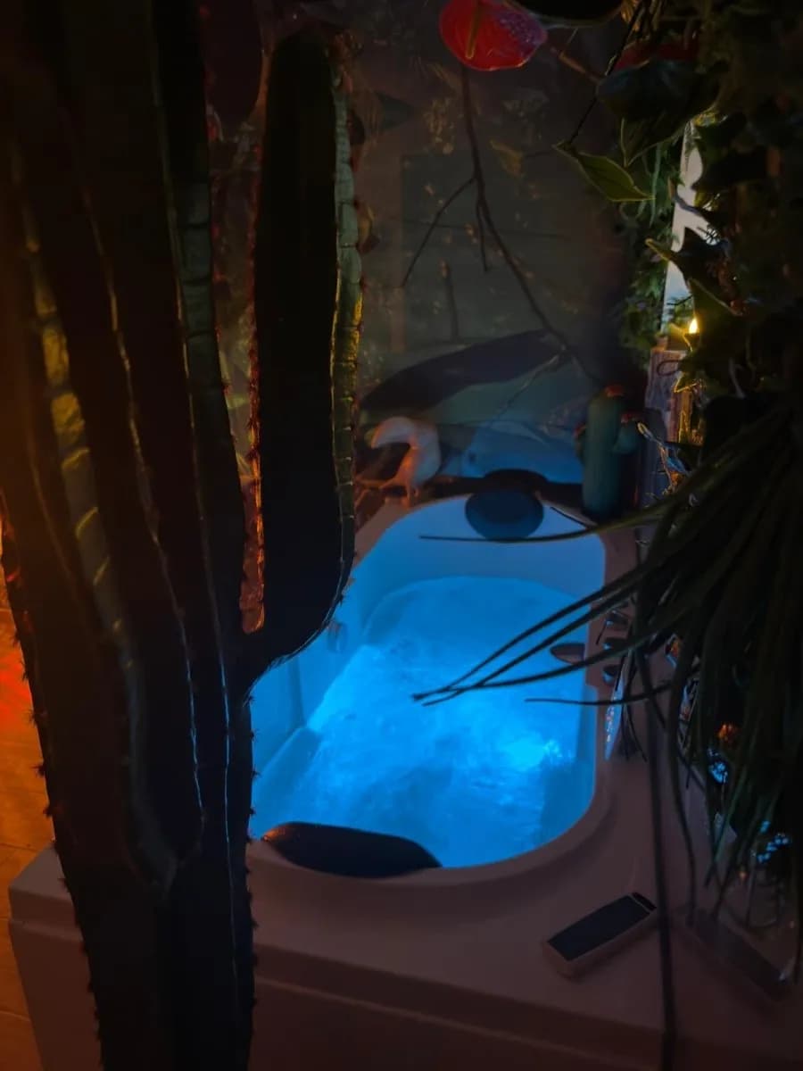 Photo Le Lodge de la Jungle n°1