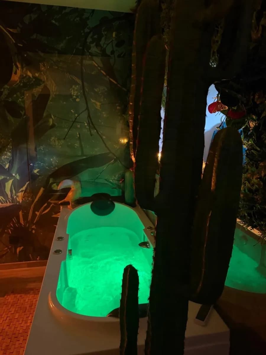 Photo Le Lodge de la Jungle n°12