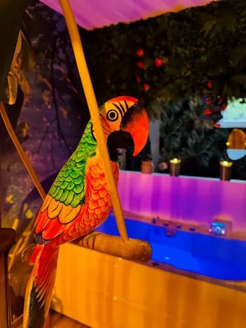 Photo Le Lodge de la Jungle n°14