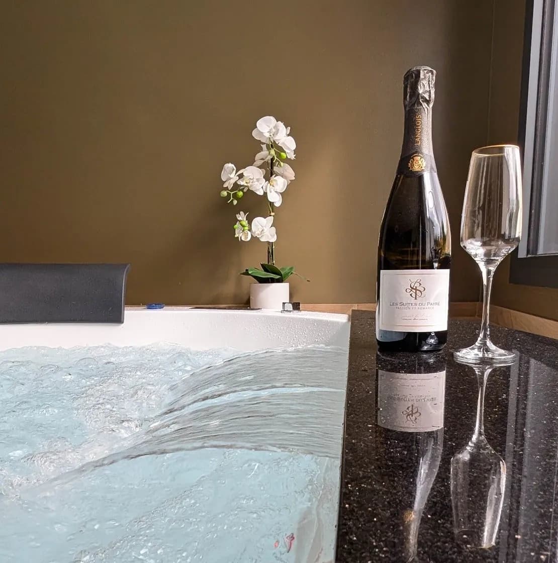 Photo Les Suites du Payré - Suite Passion n°8