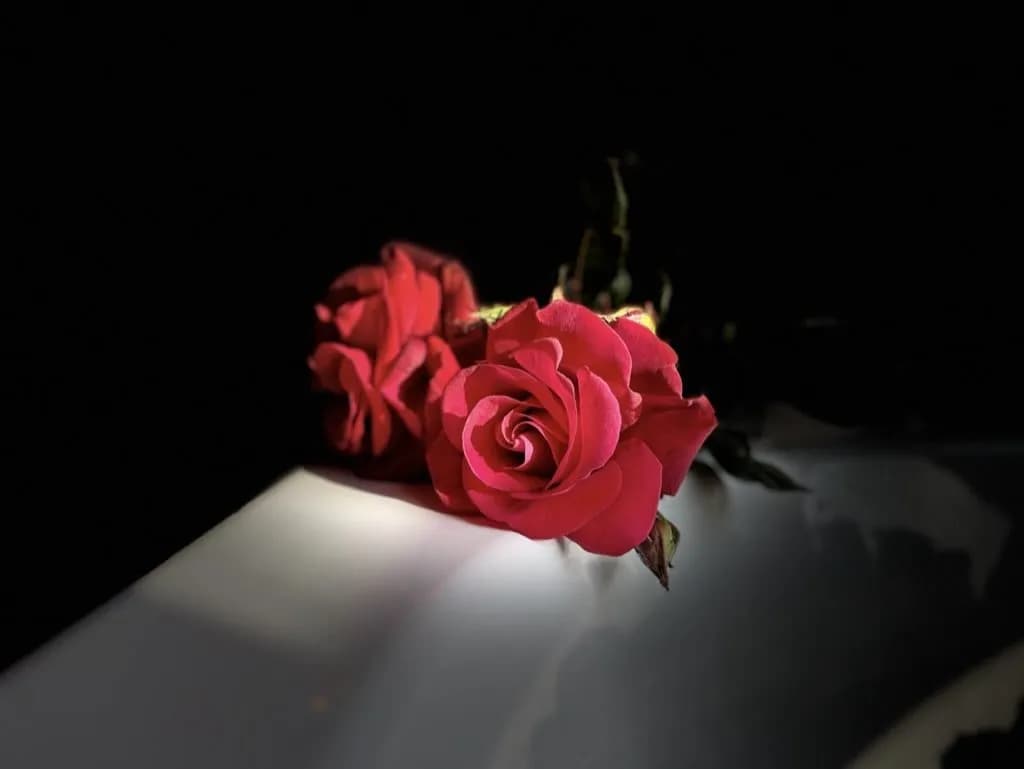 Photo Les Villas d’Onalou - Loveroom Amour amour n°11