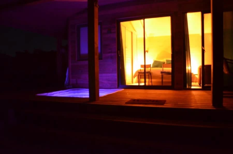 Photo Baies sauvages n°6