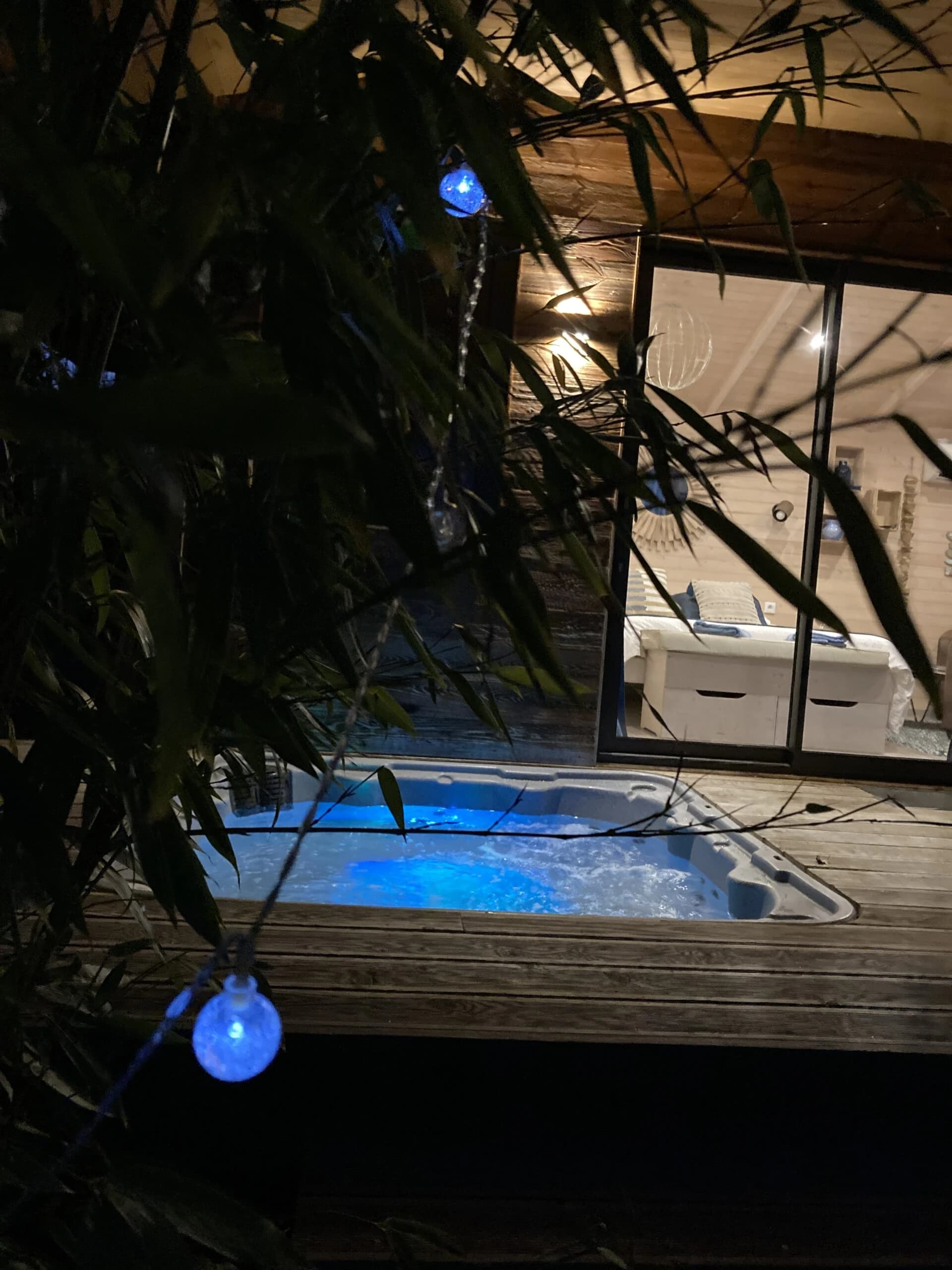 Photo Baies sauvages n°11