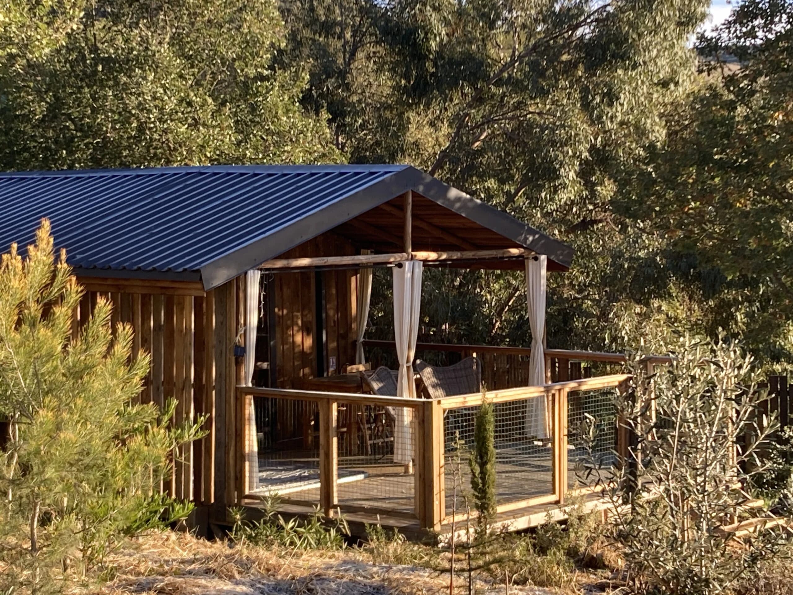 Photo La cabane dans les bois Dame du Château n°4