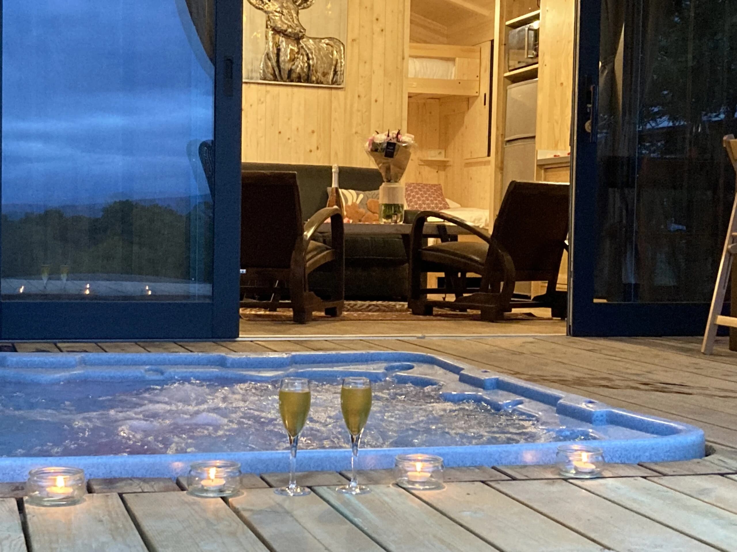 Photo La cabane dans les bois Dame du Château n°7