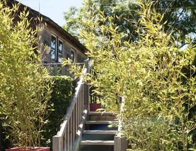 Photo Le Domaine des Prés Verts - Le Cabanon n°3